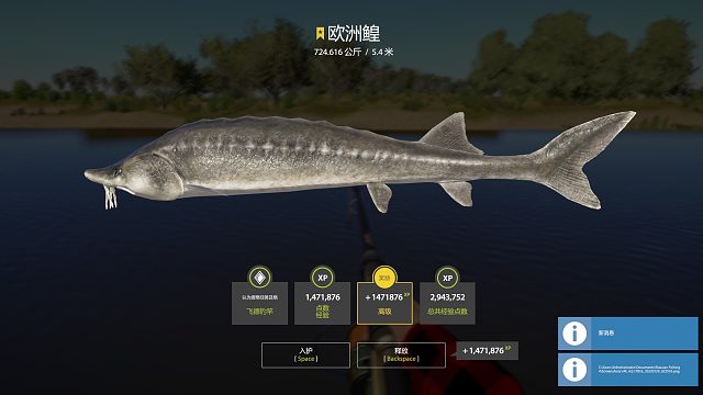 这条星鰉到底多大很遗憾的断网了