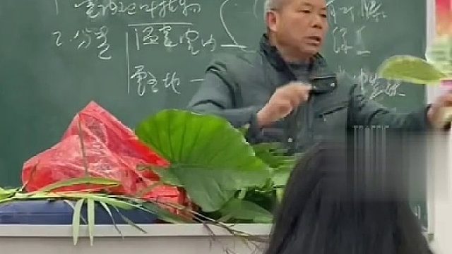 女生分享高校花卉老师能从他的百宝袋拿出各种各样的植物