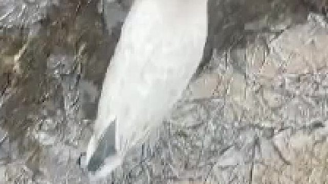 谢谢你解冻侠，下次能不能不要敲到我脑阔