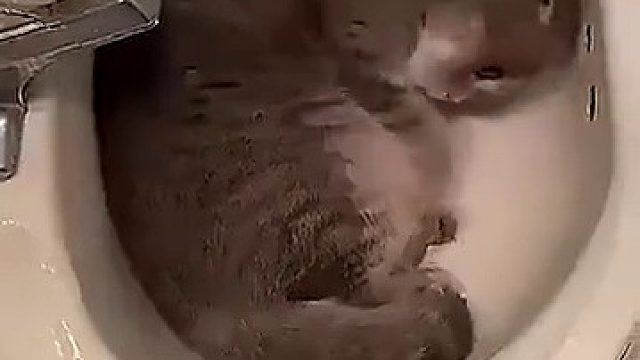 每次不开心了就自己一个人躲起来