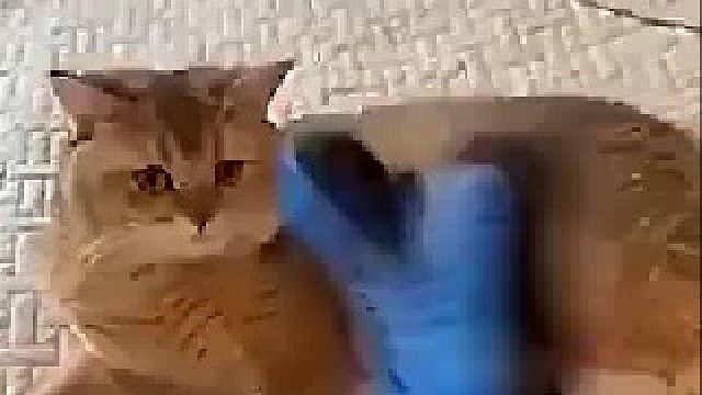 完全没猜到结局.