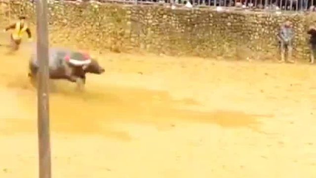 打错了，原来是兄弟