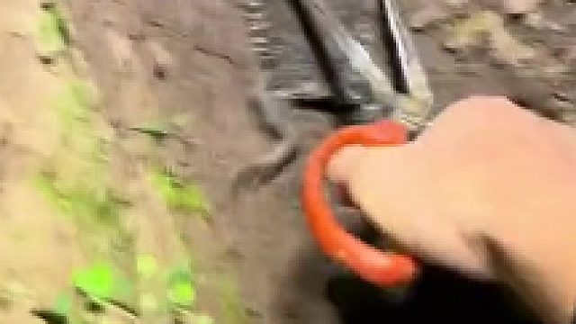 蛇：你是不是觉得自己很幽默