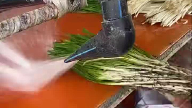 韭菜们，洗白白等着！