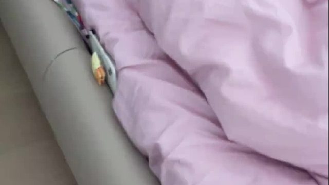 从来没听说过哪个男的这么浪漫哦