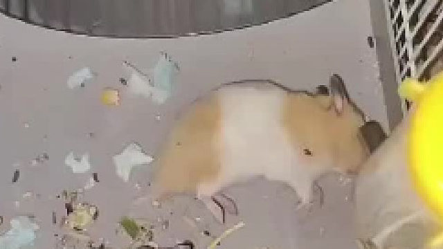 刚才是睡着了，现在是转晕了