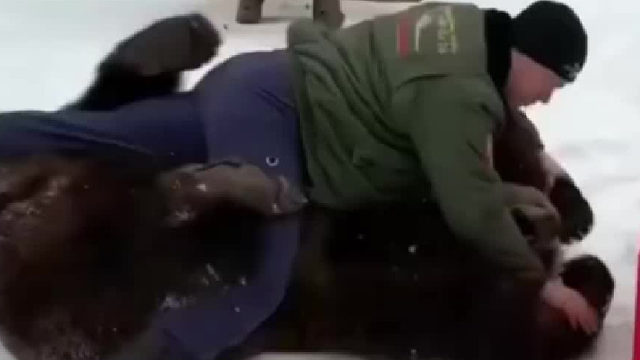 想不想和大熊熊玩游戏？