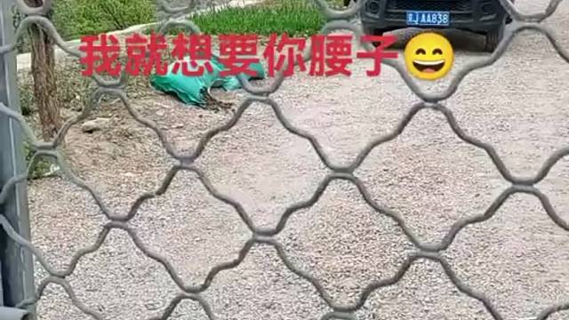 被拿捏得死死的