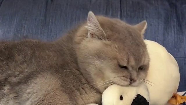 好好吃：爷们要战斗