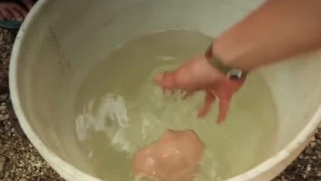 如果人不小心吞下口香糖，身体会发生什么变化，肠子会被粘住吗03