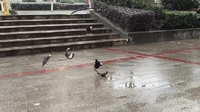 1V多还反杀一个