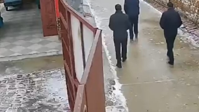 蜈蚣精要现形[二哈]