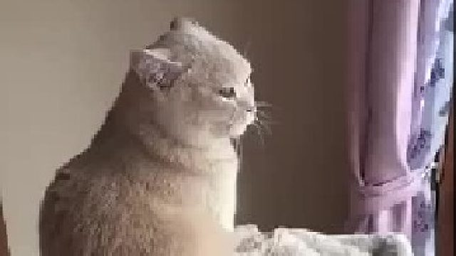 哼，来挤一挤一起睡