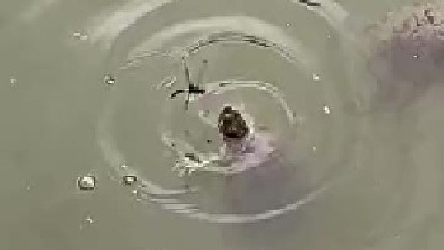 作死的边缘疯狂试探