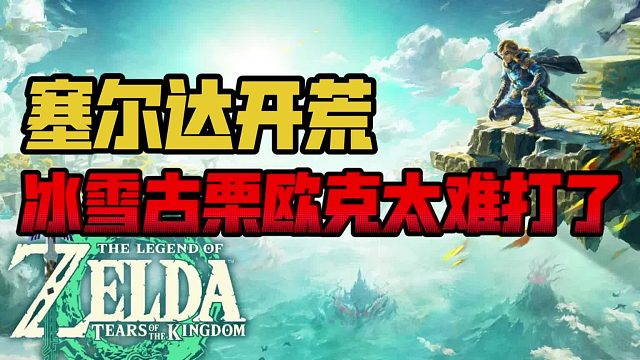 塞尔达王泪：冰雪古栗欧克太难打了