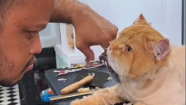 你们发现那不对劲了