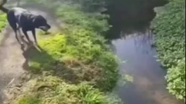 你以为的陆地，实际上可能是…