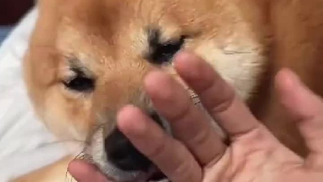 真的要被笑死了哈哈哈哈哈