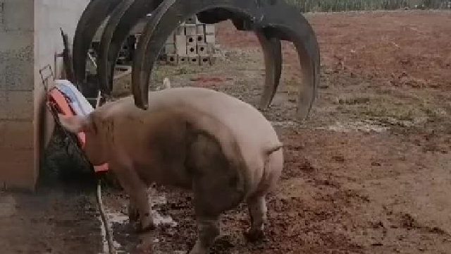 专业的事情让专业的人来