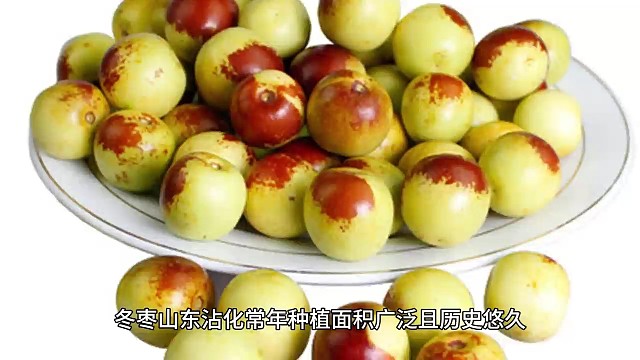 山东特产水果有哪些 盘点山东盛产水果前十名！您家乡有什么特产评论区晾晾!（4）