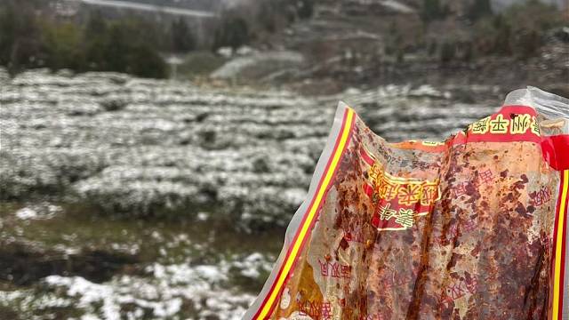 那你们呢？什么时候回家过年