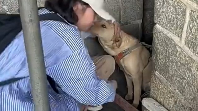 狗狗也太可爱了