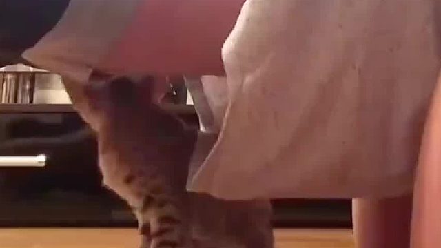 压倒骆驼的最后一块肉