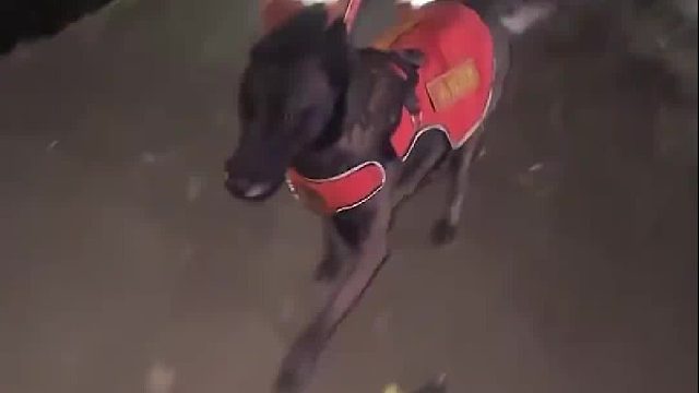 终于可以停下来大口吃饭，清理伤口