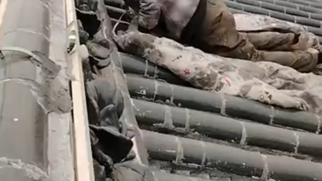 可爱不是长久之计，可爱我是长久之计呀~