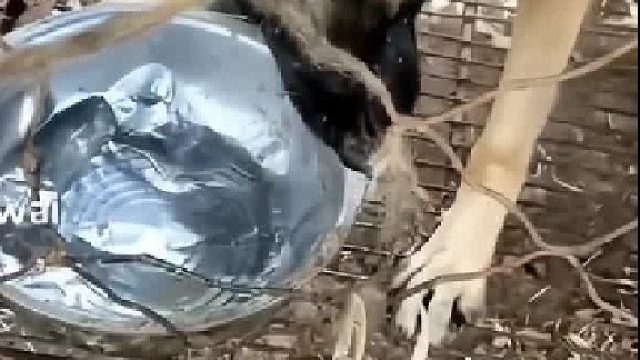 都倒外面了，没吃怎么能看清