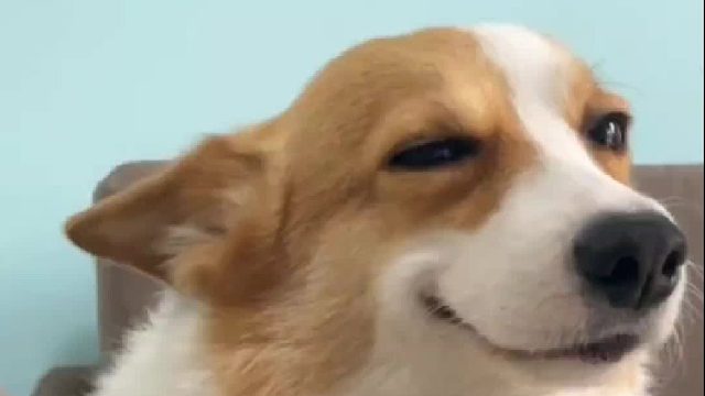 就为了一口吃的，脸都不要了