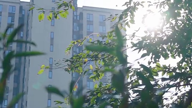 晓晓，你怎么来了？