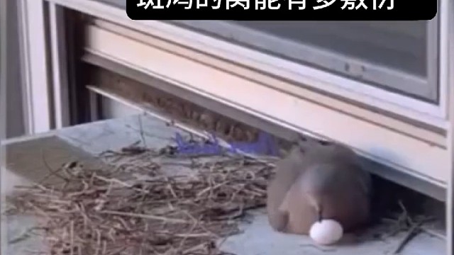 担心了好久，结果还是