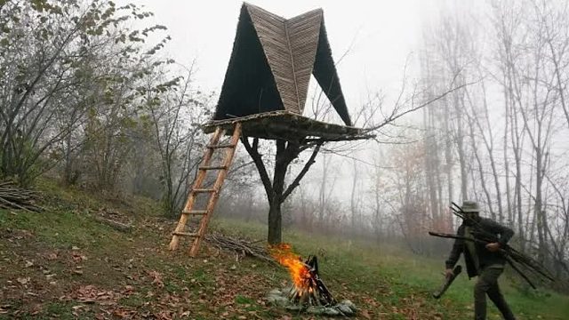 特种兵野外求生30天，3天时间搭建空中阁楼，半夜却被狼群包围