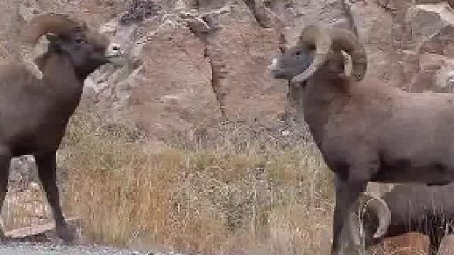 很多时候，打着打着，就忘了为什么打架了？