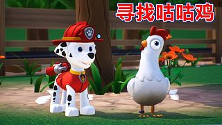 汪汪隊立大功世界：阿奇尋找咕咕雞 天天拔掉揚聲器