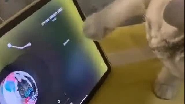 “行，这首背景音乐行，就它了”