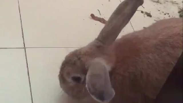 看颜色就知道你一定很能吃！