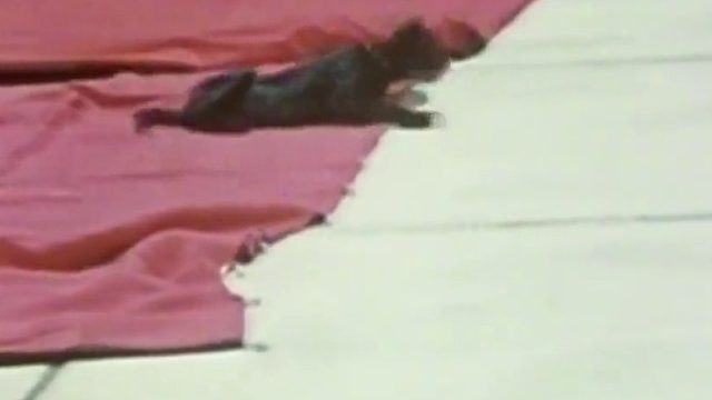 两滴液体滴在手套，为何能在短短15秒，就让科学家生命走向终结02