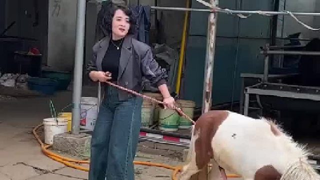 姐姐笑的合不拢嘴