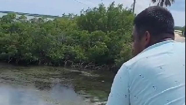 鱼：你有没有为自己拼过命