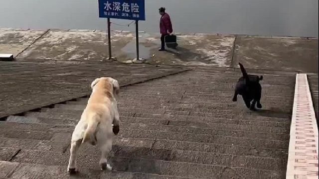 这次跳的有点远，有点天赋但不多