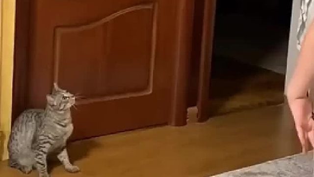 自己还量一下，得需要用多大的力度，弹跳