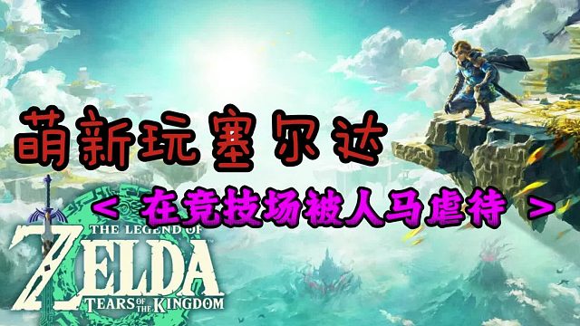 塞尔达王泪：在竞技场被人马虐待