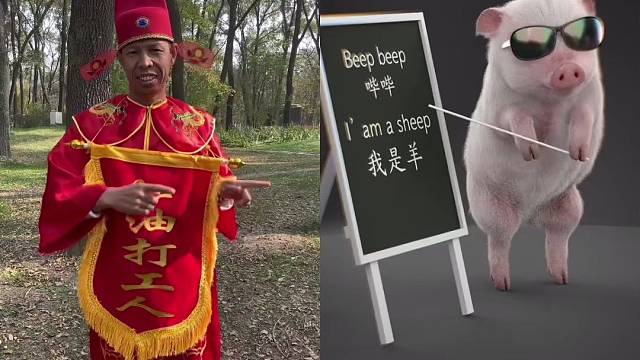 和小猪一起跳舞，我是羊，我是羊