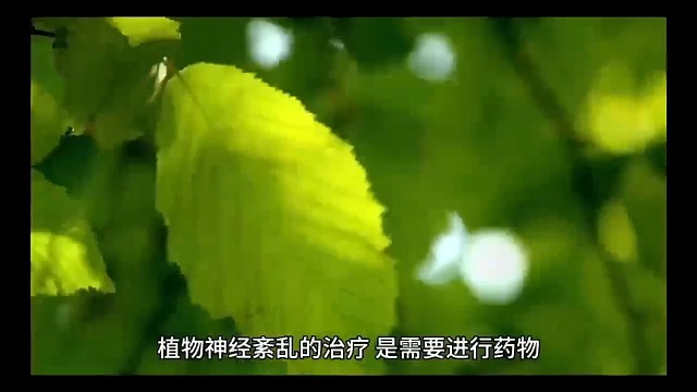 植物神经紊乱1