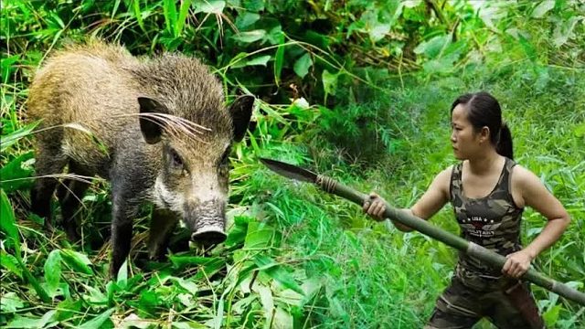 奇女子独居危险的峡谷底部，挑战极限求生21天，用妙招制服大野猪
