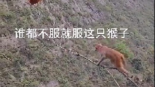 差点失手了，这你敢信？