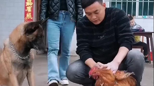 没想到狗子哭了