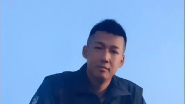 其实它们真的很乖，不会乱咬人。